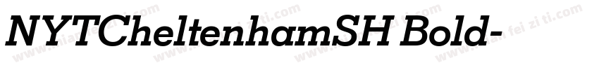 NYTCheltenhamSH Bold字体转换